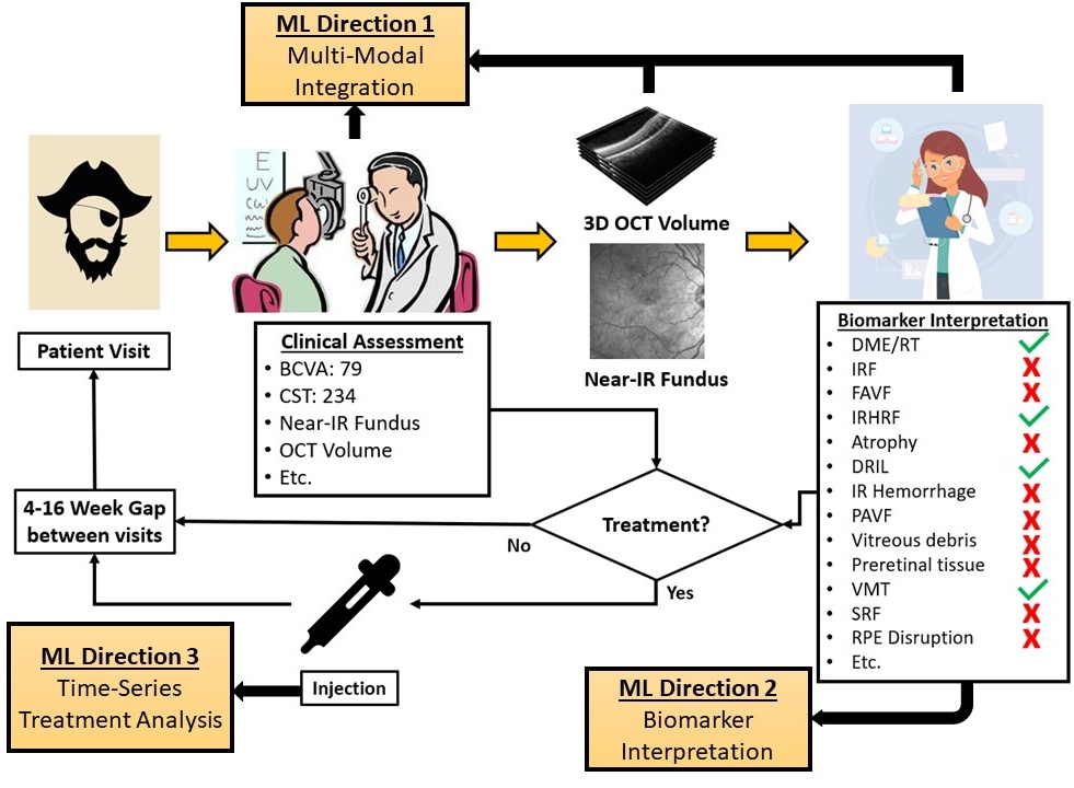 OLIVES Dataset: Ophthalmic Labels for Investigating Visual Eye Semantics