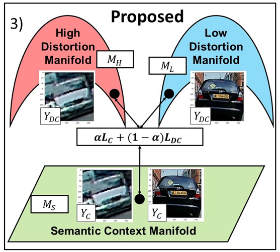 Exploiting the Distortion-Semantic Interaction in Fisheye Data