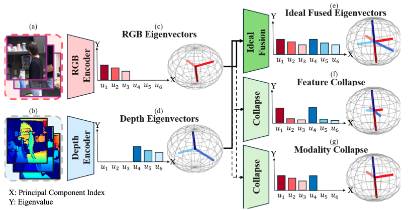 Countering Multi-modal Representation Collapse through Rank-targeted Fusion