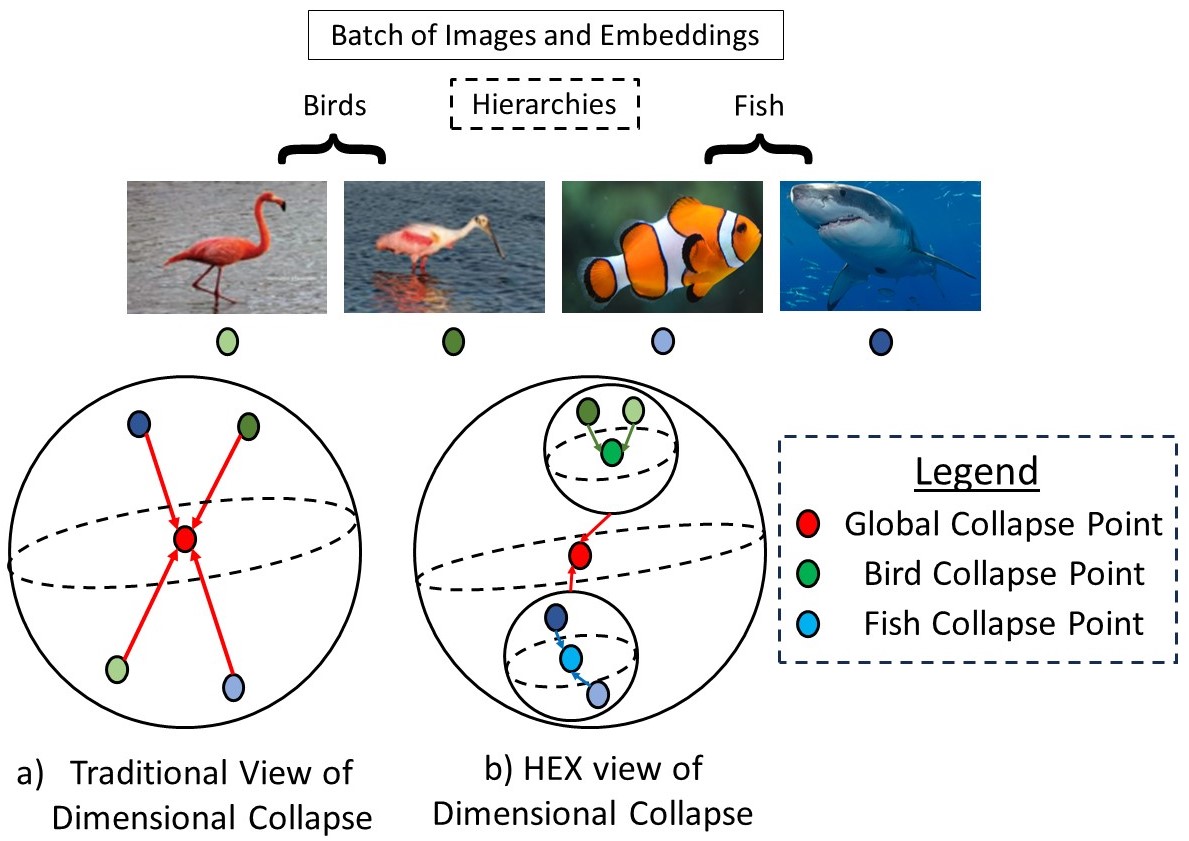 HEX: Hierarchical Emergence Exploitation in Self-Supervised Algorithms